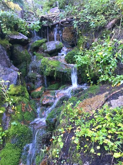 lucky bamboo santa fe feng shui